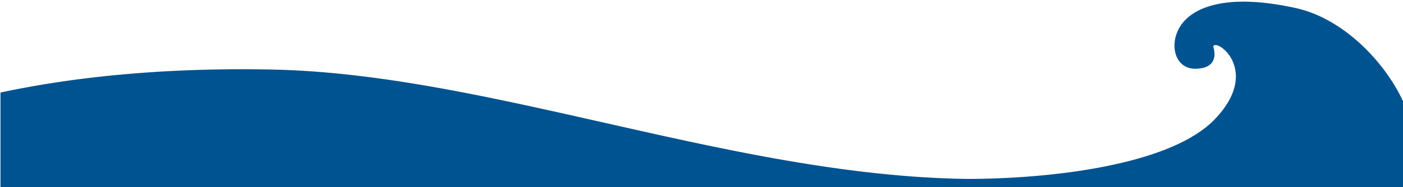Ryders Singapore wave divider